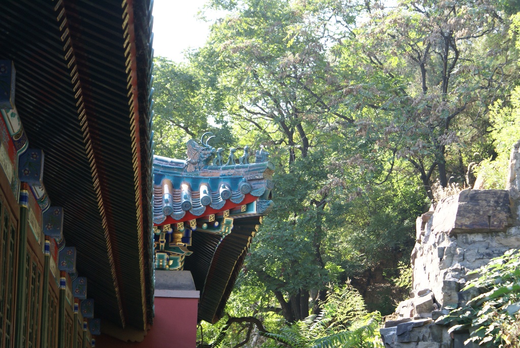 2010-10 China/Beijing/DSC01984.JPG